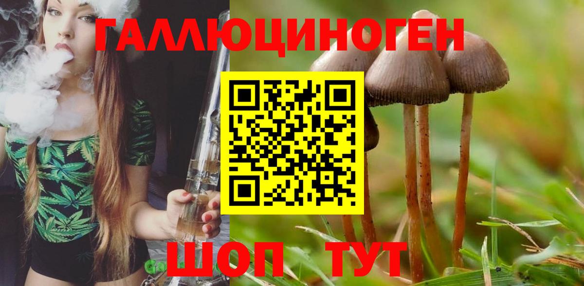 купить   Псилоцибиновые грибы Cubensis  Вход с VPN  Прокопьевск 