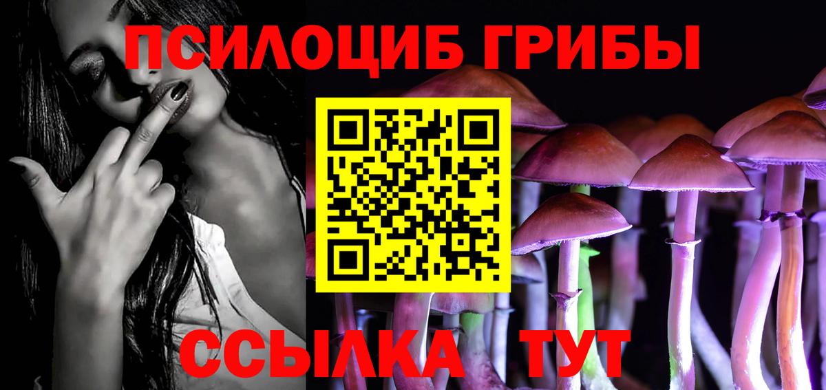 Псилоцибиновые грибы мицелий Прокопьевск